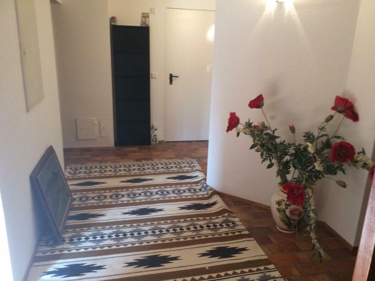 Schones Zimmer In Gimmeldingen/ Konigsbach Neustadt an der Weinstrasse Ngoại thất bức ảnh