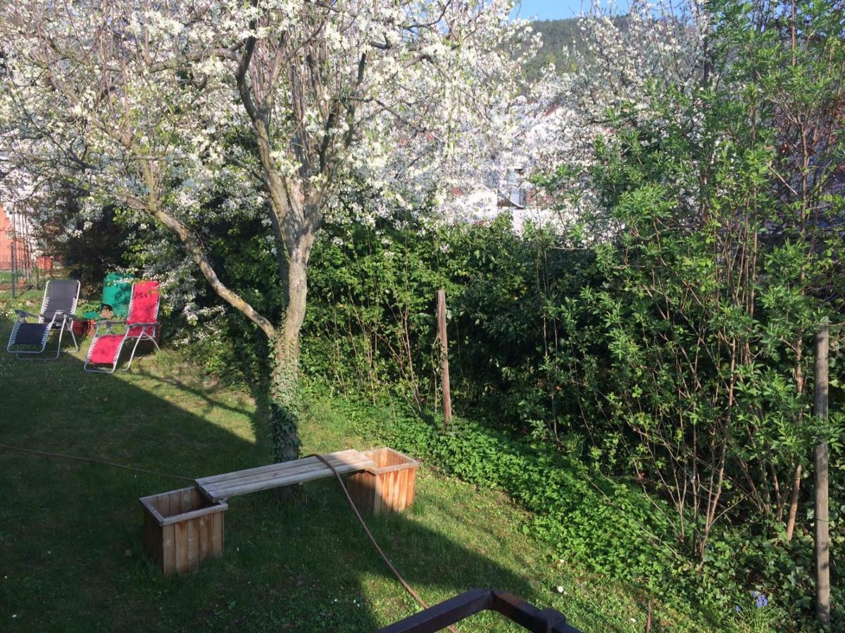Schones Zimmer In Gimmeldingen/ Konigsbach Neustadt an der Weinstrasse Ngoại thất bức ảnh